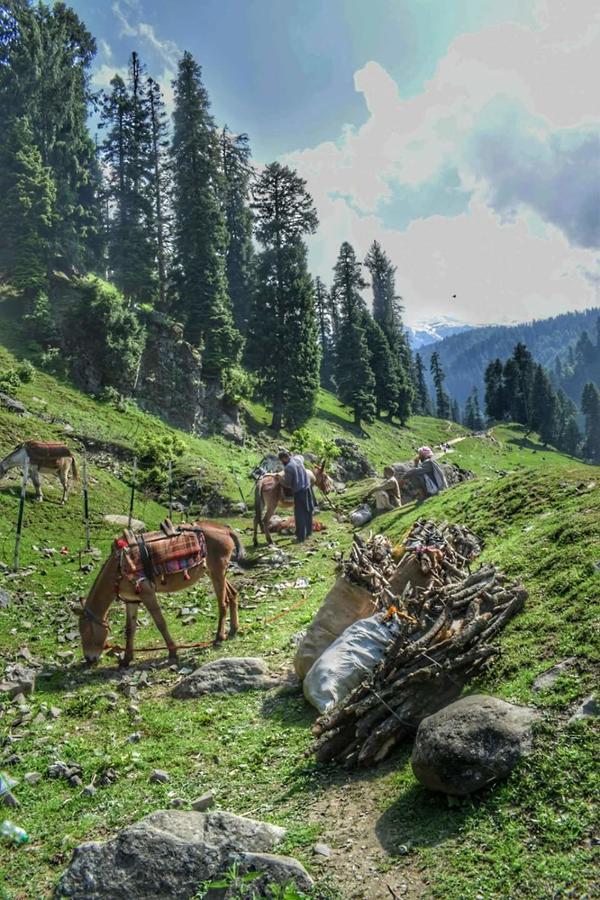 New Balmoral Castle Hotel Durgjan Bagian luar foto